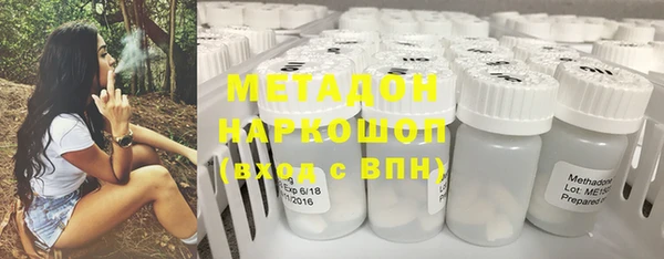 прущие грибы Алзамай