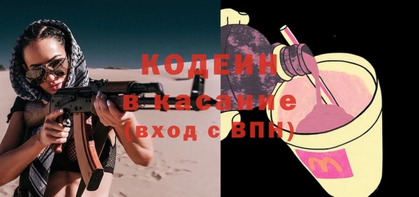 прущие грибы Алзамай