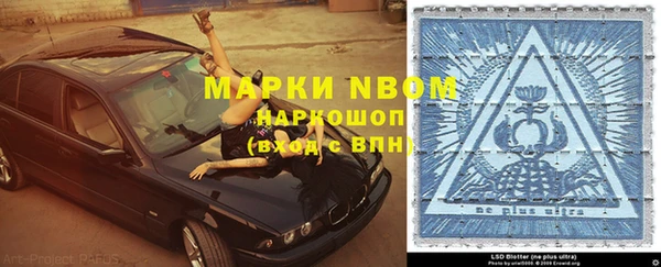 прущие грибы Алзамай