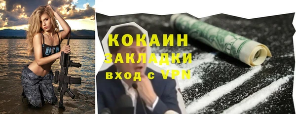 тгк Алексин