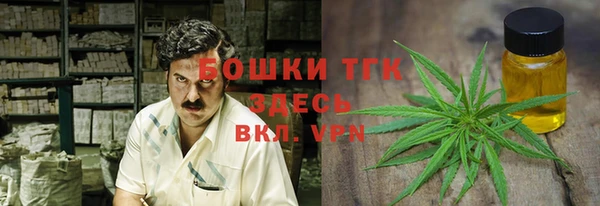 тгк Алексин
