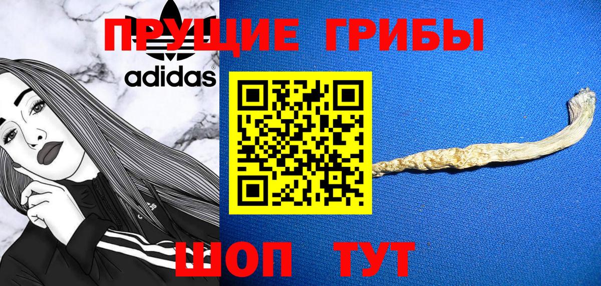Галлюциногенные грибы мицелий Крымск