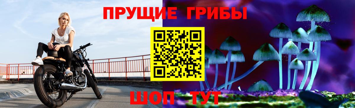 Крымск  Галлюциногенные грибы мицелий  Вход с VPN  продажа наркотиков  Псилоцибиновые грибы MAGIC MUSHROOMS 